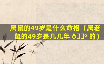 属鼠的49岁是什么命格（属老鼠的49岁是几几年 🐺 的）